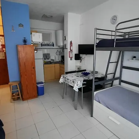 Nora Velha T0+1 Em *