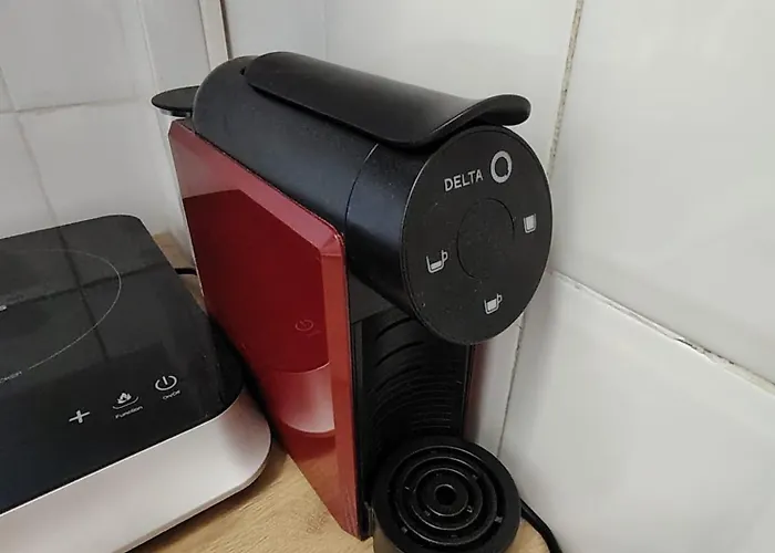 Nora Velha T0+1 Em *